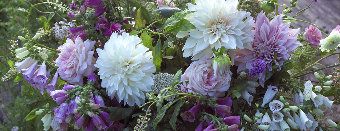 Flowers for Weddings, Floral Designers, Stores and More!